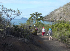 Punta Cormorant