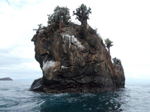 Buccaneer Cove