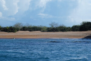 Strand von Bartolome
