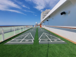 Shuffleboard