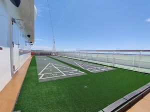 Shuffleboard