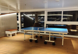 Tischtennisplatte