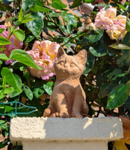 Le Chat en Rose