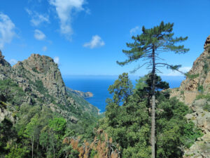 Calanques de Piana