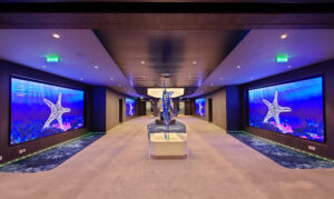 MSC Foundation Gallery