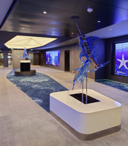 MSC Foundation Gallery