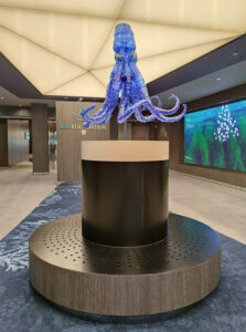 MSC Foundation Gallery