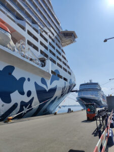 MSC Euribia