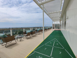 Shuffleboard