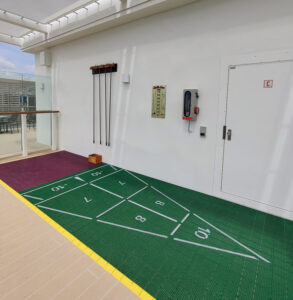 Shuffleboard