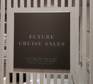 Future Cruise