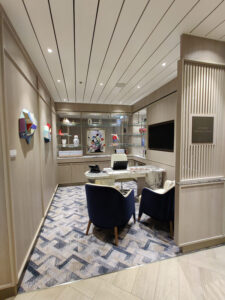 Future Cruise