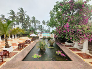 Serena Beach Resort & Spa