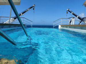 Infinity Pool