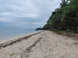 Serena Beach & Spa Resort