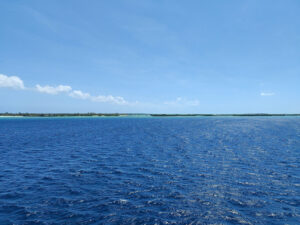 vor Aldabra