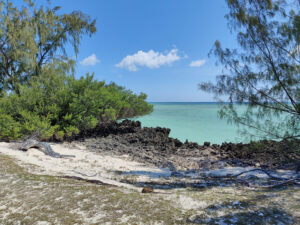 Aldabra