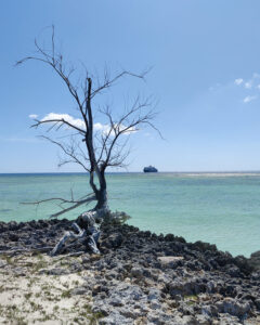 SH Diana vor Aldabra