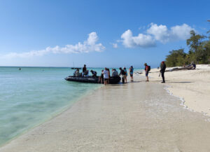 Zodiac am Strand
