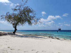 SH Diana vor Assumption Island