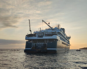 SH Diana im Sonnenuntergang