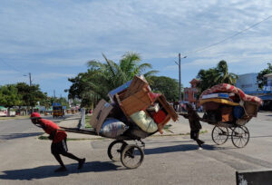 Umzug auf Madagaskar Art