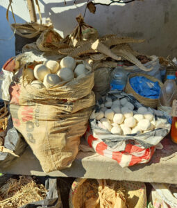 Bazary be Morondava