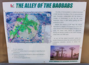 Baobab Avenue
