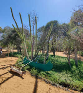 Reniala Spiny Forest Reserve
