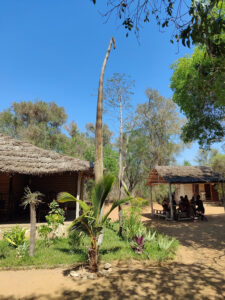 Reniala Spiny Forest Reserve