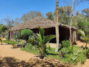 Reniala Spiny Forest Reserve
