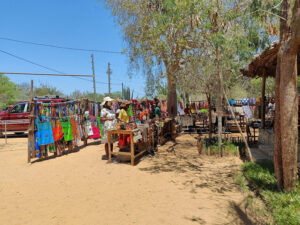 Reniala Spiny Forest Reserve