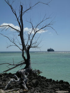 SH Diana vor Aldabra