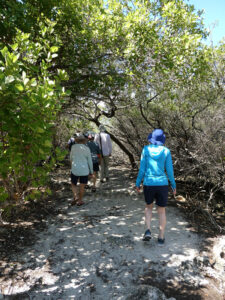 Backpath Tour