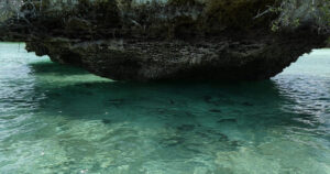 Fische