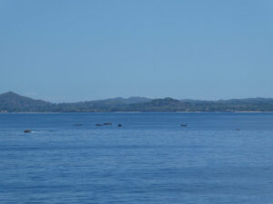 Boote vor Nosy Be