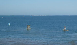 Fischerboote