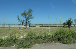 Salzpfannen