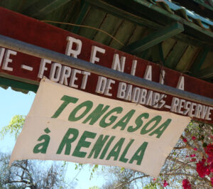 Reniala Spiny Forest Reserve