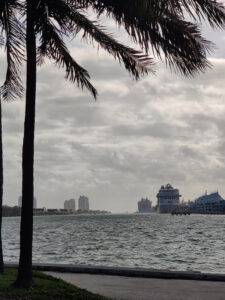 Blick auf den Hafen von Miami