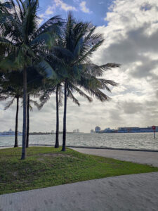 Blick auf den Hafen von Miami