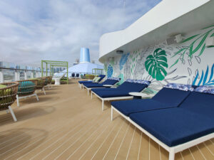The Grove Suite Sun Deck Deck 19