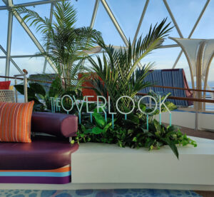 The Overlook