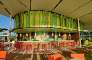 Lime & Coconut Deck 15