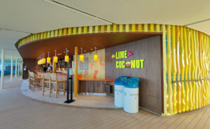 Lime & Coconut Deck 15