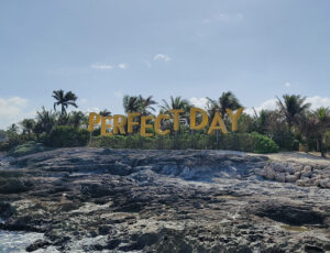 Perfect Day
