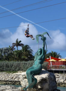 Zip Line