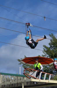 Zip Line