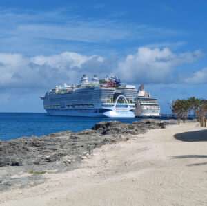 Icon of the Seas