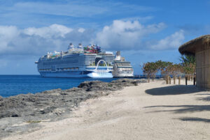 Icon of the Seas